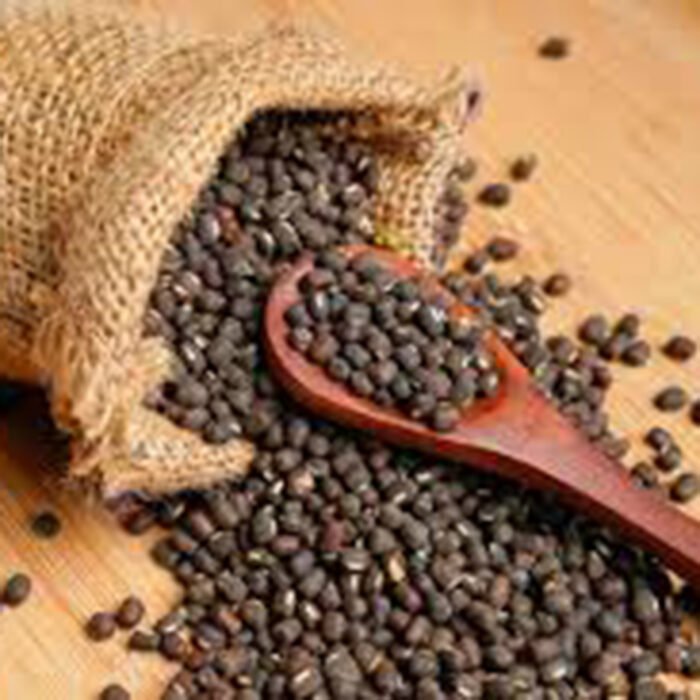 Brown Lentils