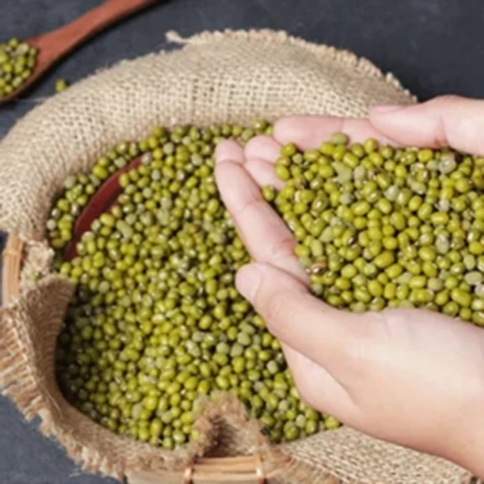 Green Lentils